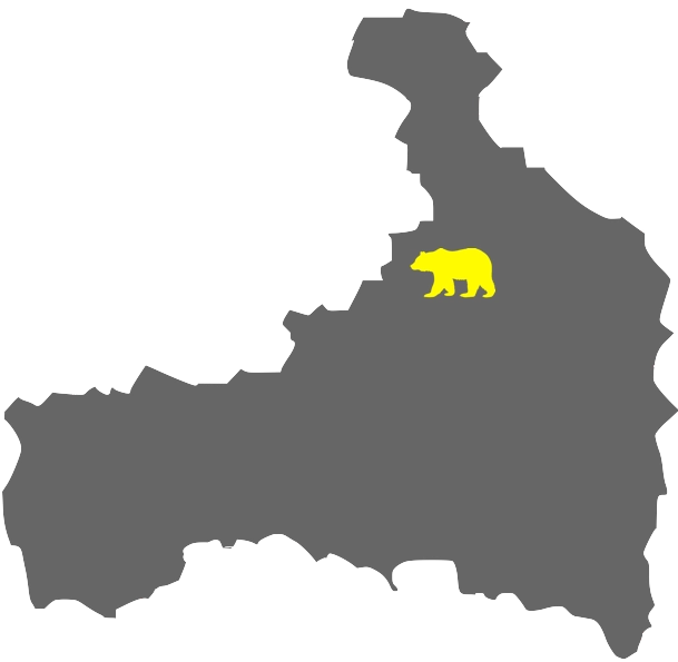 Map of Taxi Services in Leogang - Taxi Bär
