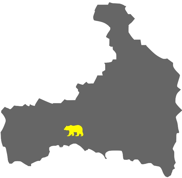 Map of Taxi Services in Mittersill - Taxi Bär