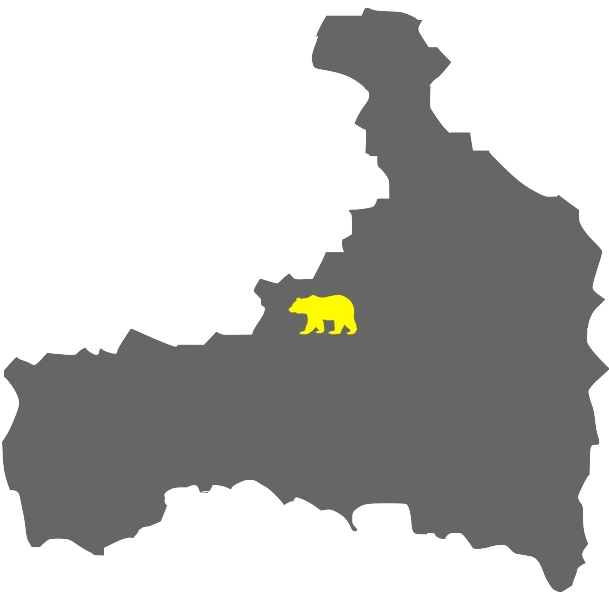 Map of Taxi Services in Saalbach - Taxi Bär