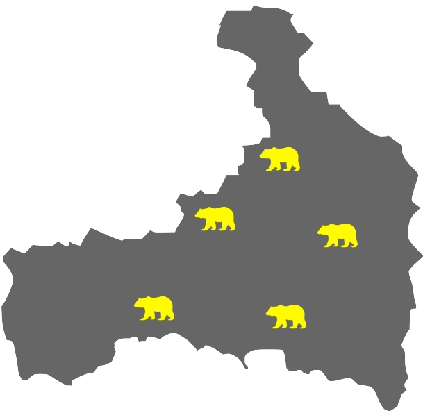 Taxi Bär Service Area Map